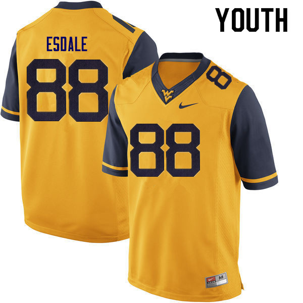 Youth #38 Isaiah Esdale West Virginia Mountaineers College Football Jerseys Sale-Gold - Click Image to Close